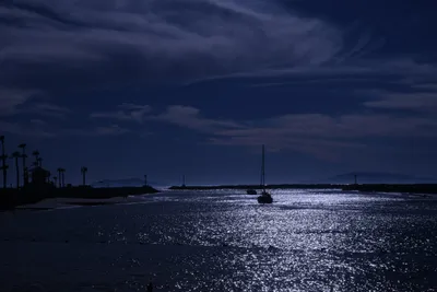 DSC_0795 (Large).JPG